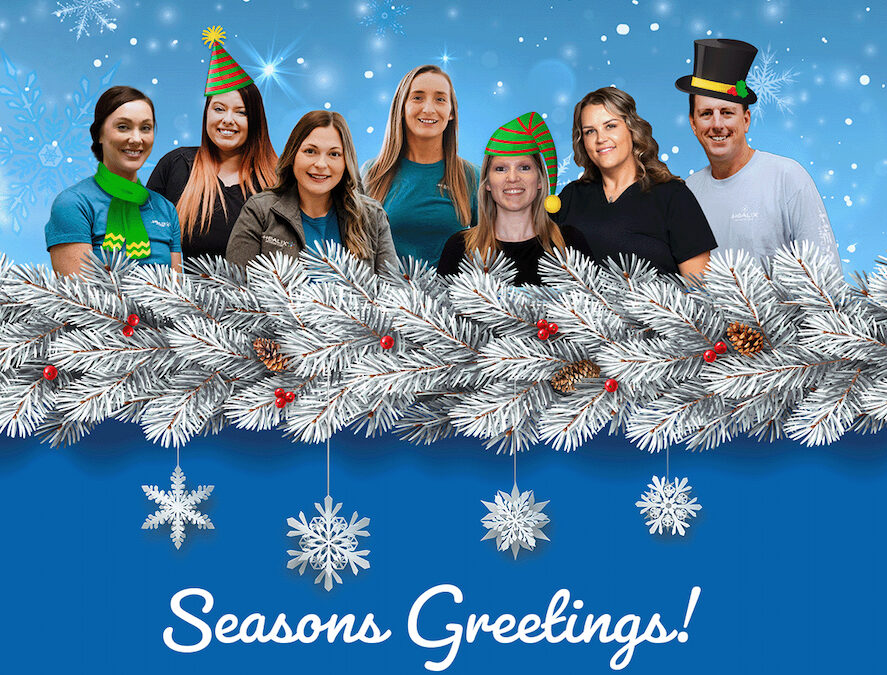 Finding Comfort and Care This Holiday Season